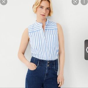 Ann Taylor Blue Stripped Camp Shirt Top L NWTS
